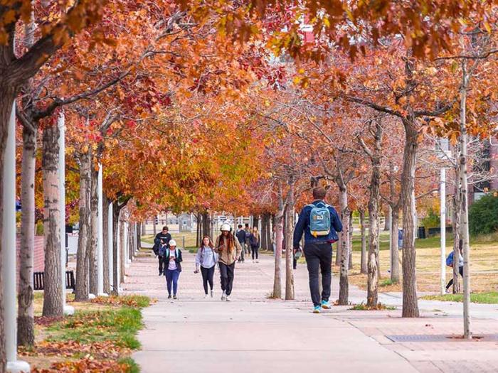 Students walking on sidewalk lined with trees