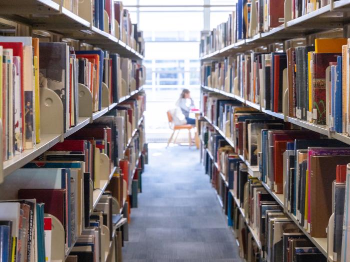 Library books on shelves