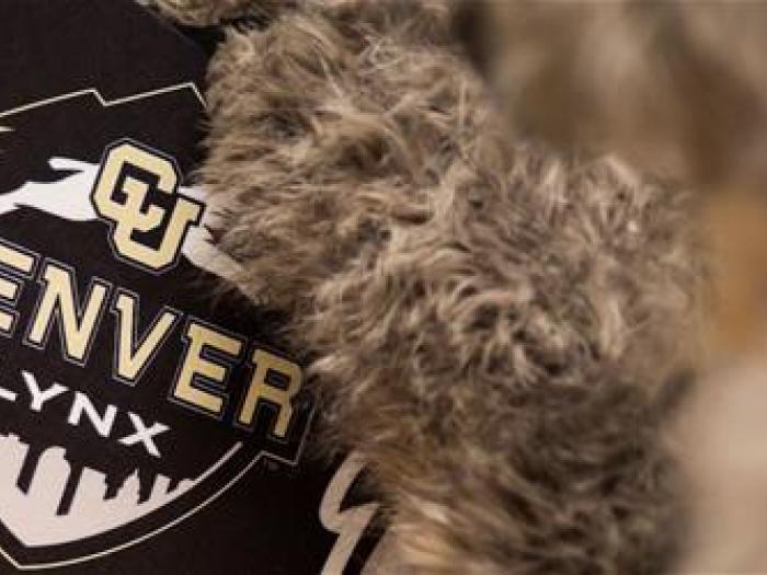 Closeup of folder that has CU Denver Lynx logo on front