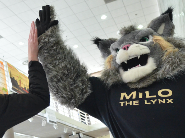CU Denver's mascot Milo the Lynx