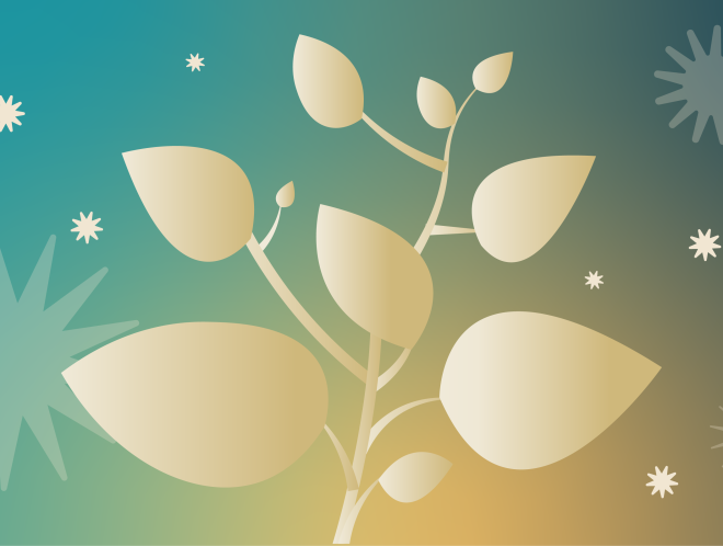 Graphic of plant sprouting with stars in the background