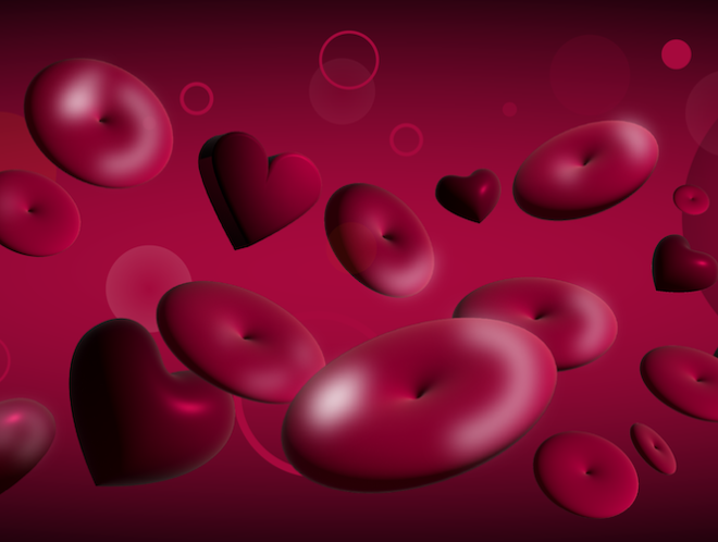 Heart_cells
