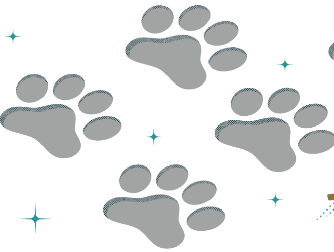 Graphic of paw prints in the snow