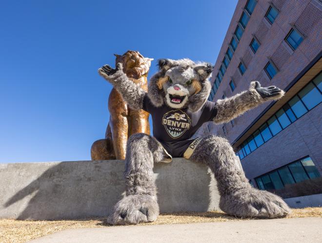 CU Denver mascot Milo