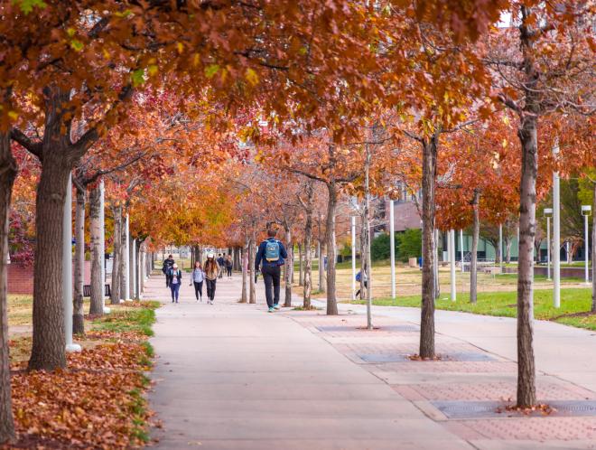 CU Denver in the fall