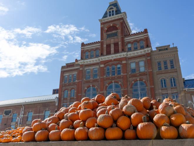Pumpkins in front of Tivoli Student Union