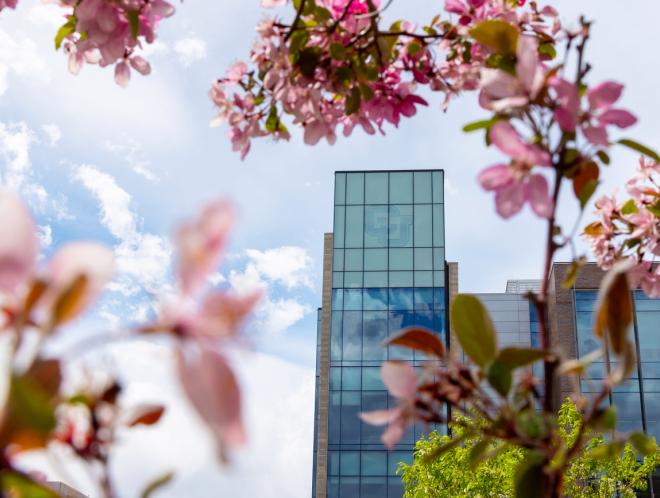 CU Denver in the spring