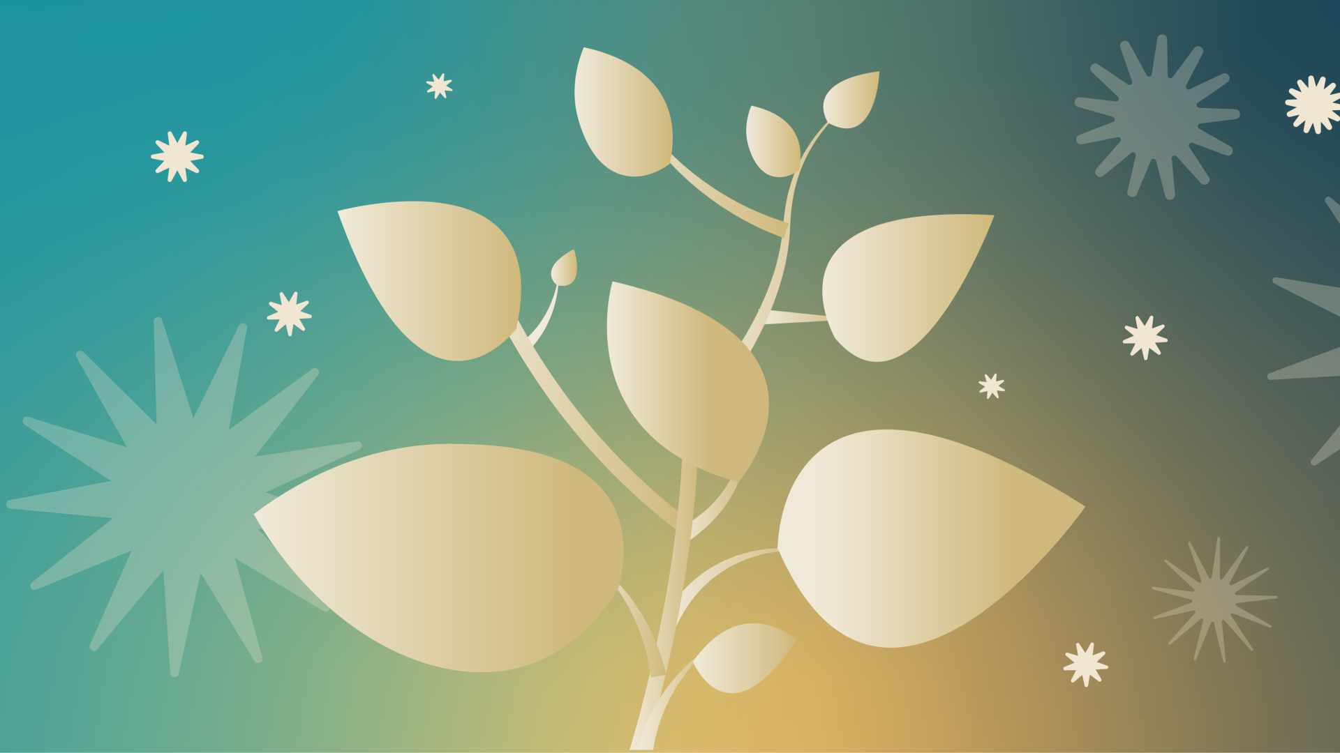 Graphic of plant sprouting with stars in the background