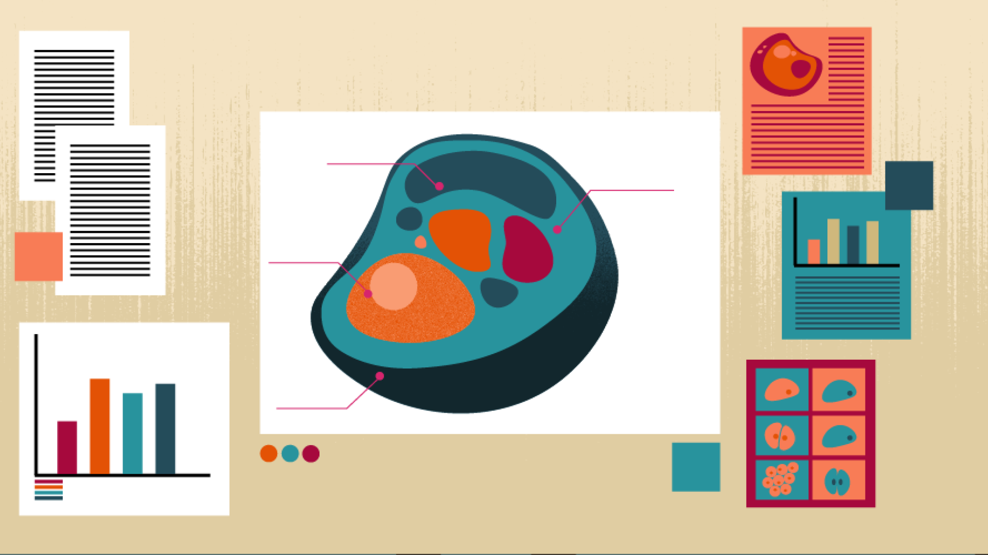 Graphic of cell presentation
