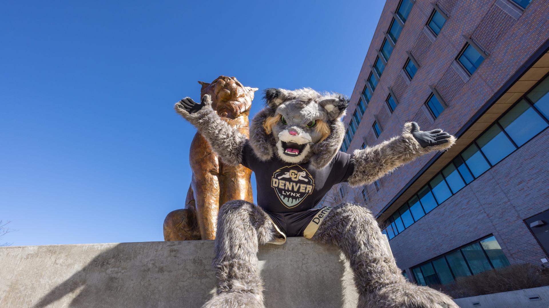 CU Denver mascot Milo