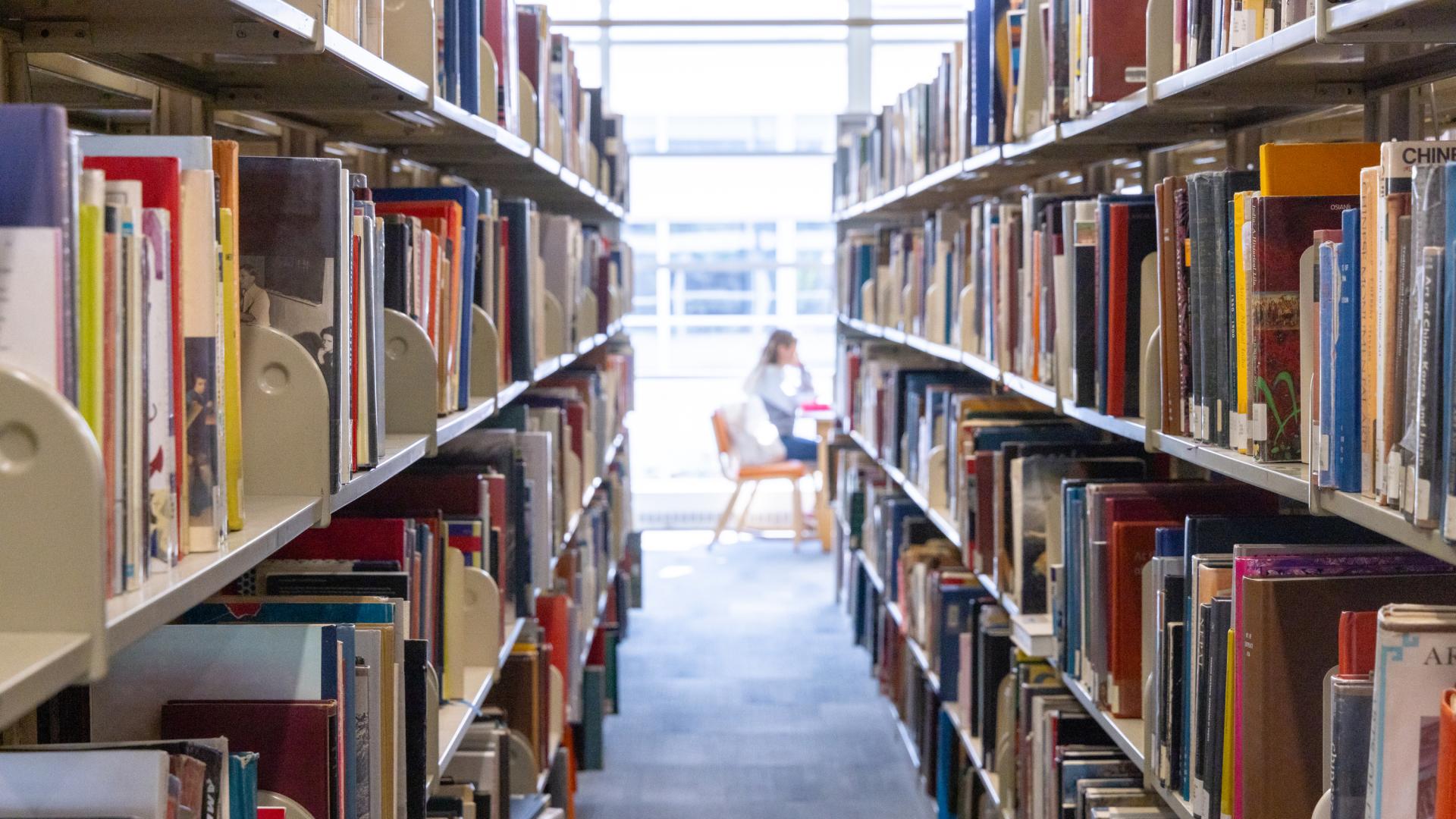 Library books on shelves