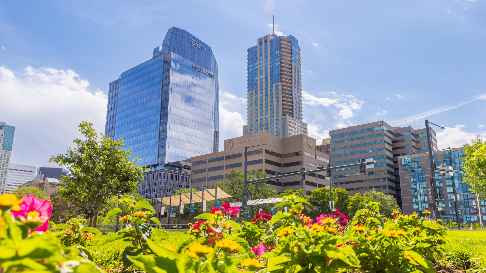 Flowers in front of CU Denver buildings in front of skyscrapers