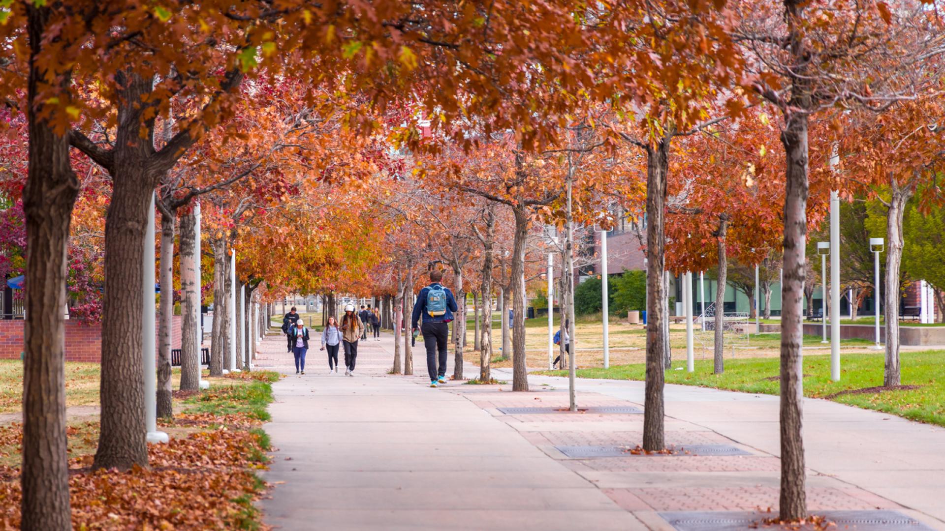 CU Denver in the fall