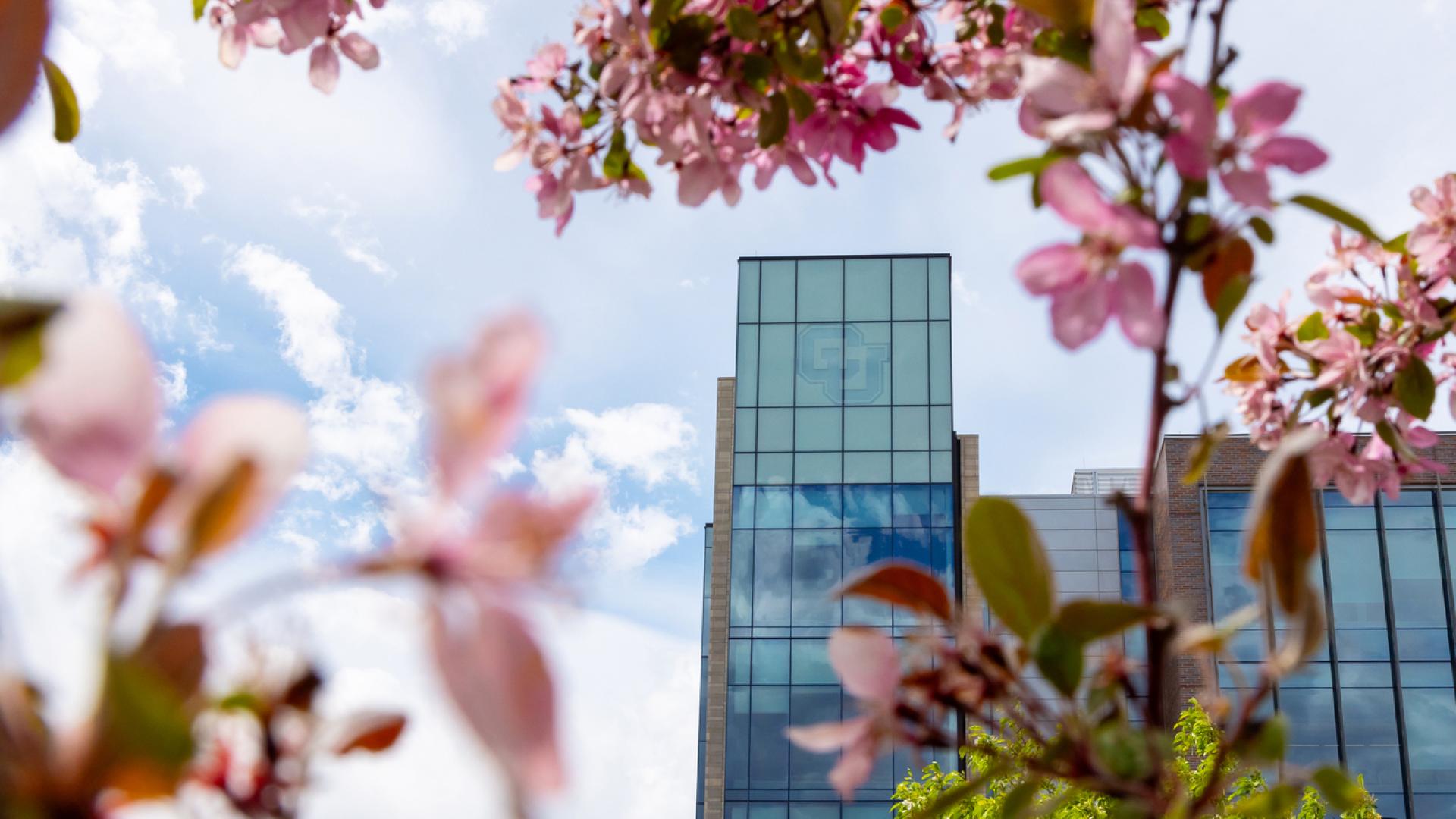CU Denver in the spring