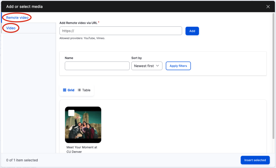 Screenshot of video embed settings showing the remote video and video upload tabs