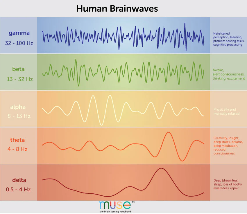 Human_brainwaves