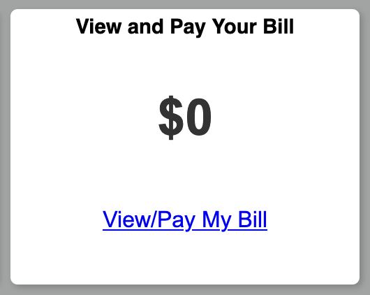 Screenshot of View and Pay Bill option from student account