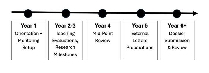 Example Tenure-Track Roadmap