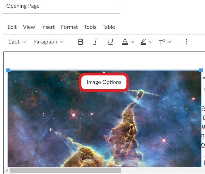 Screenshot showing the image options button in the Canvas file editor