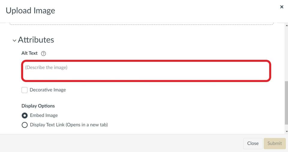 Screenshot of image editor in Canvas LMS highlighting Alt Text field