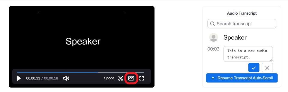 Screenshot of zoom with CC button highlighted