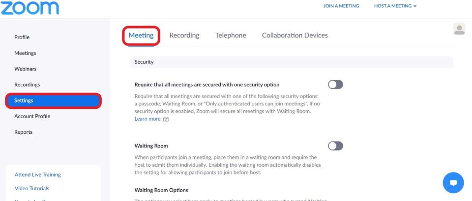 Screenshot of Account Settings options with the meeting tab highlighted