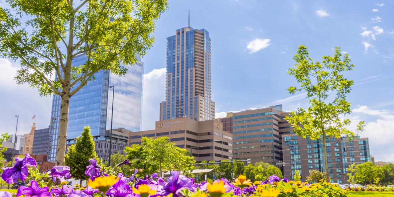 CU Denver