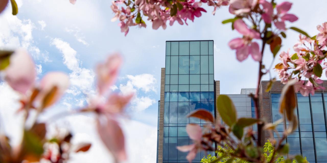 Image of flowers framing the Student Commons Building
