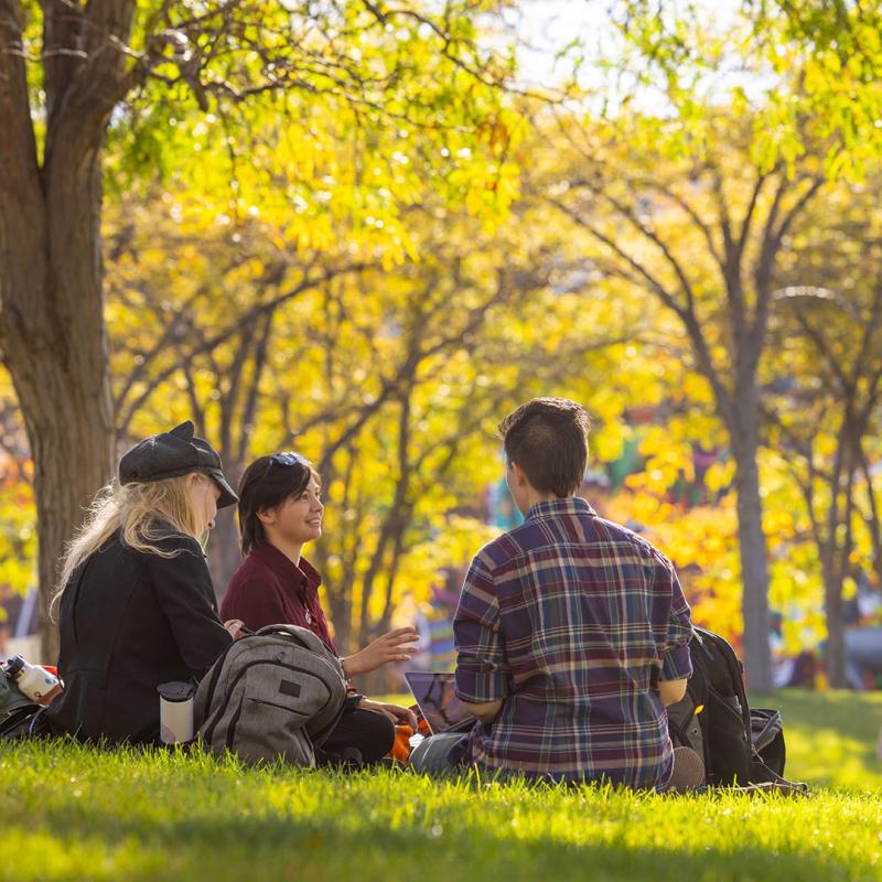 Group of students sitting on grass under trees