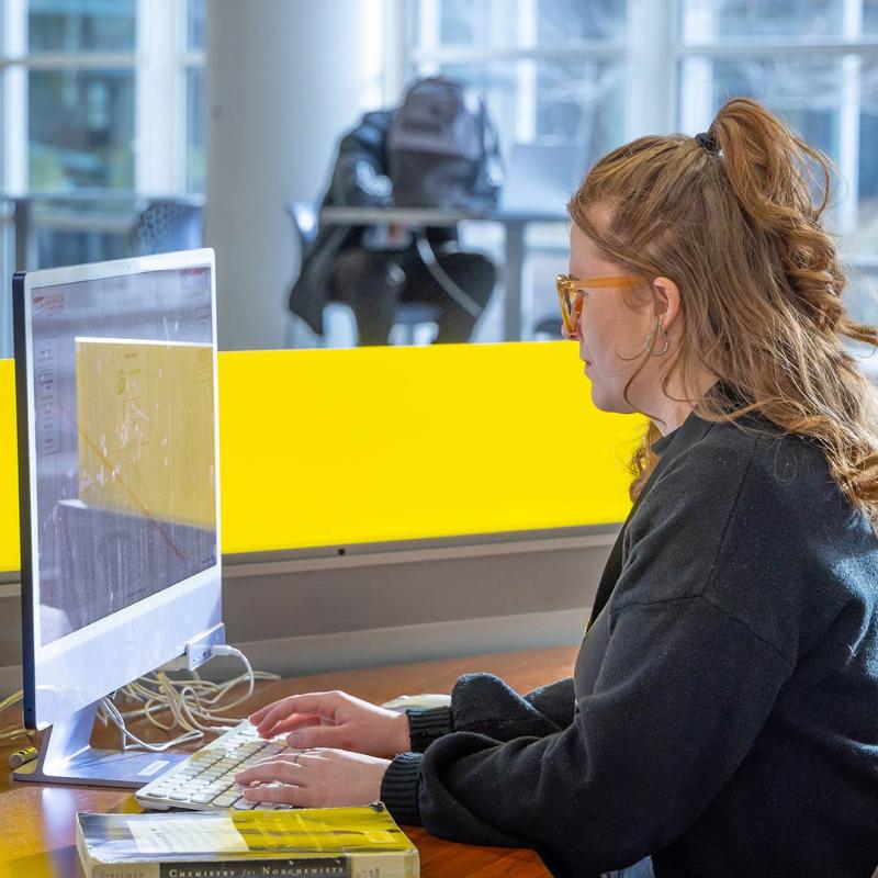 Student looking at computer