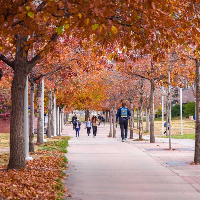 CU Denver students walking on sidewalk