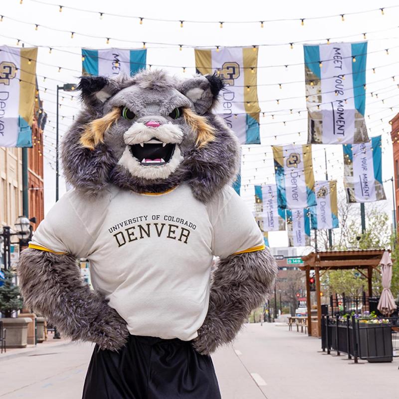 Milo the Lynx in Larimer Square