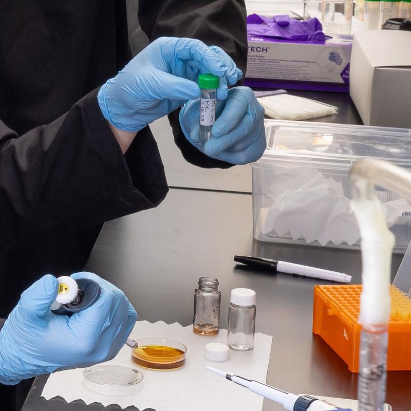 Students working in science lab