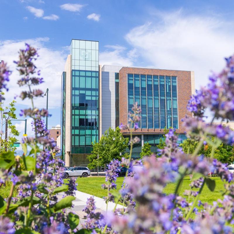 Purple flowers in front of Student Wellness Center
