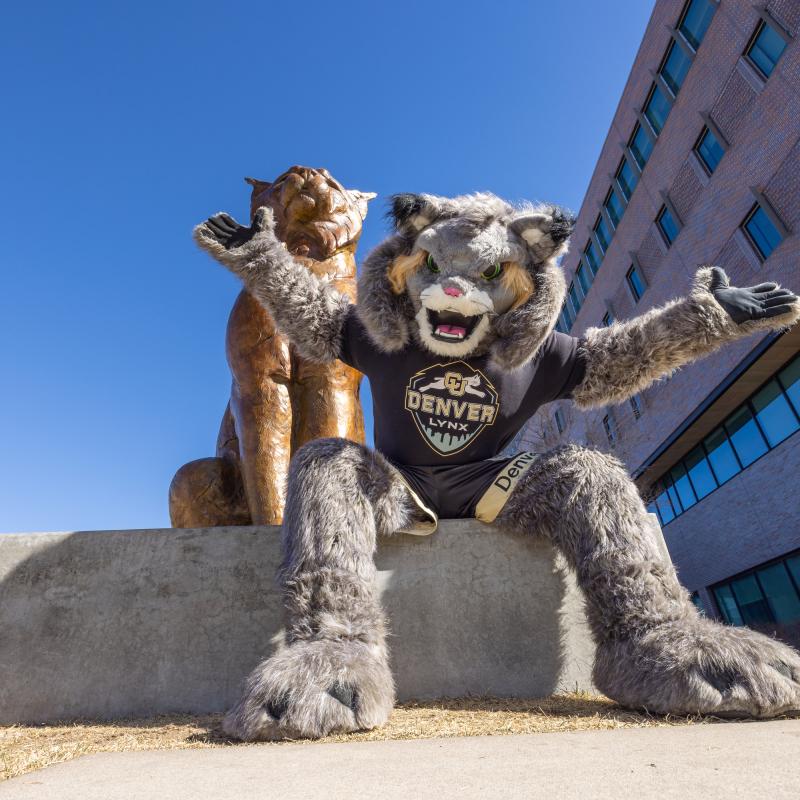 CU Denver mascot Milo