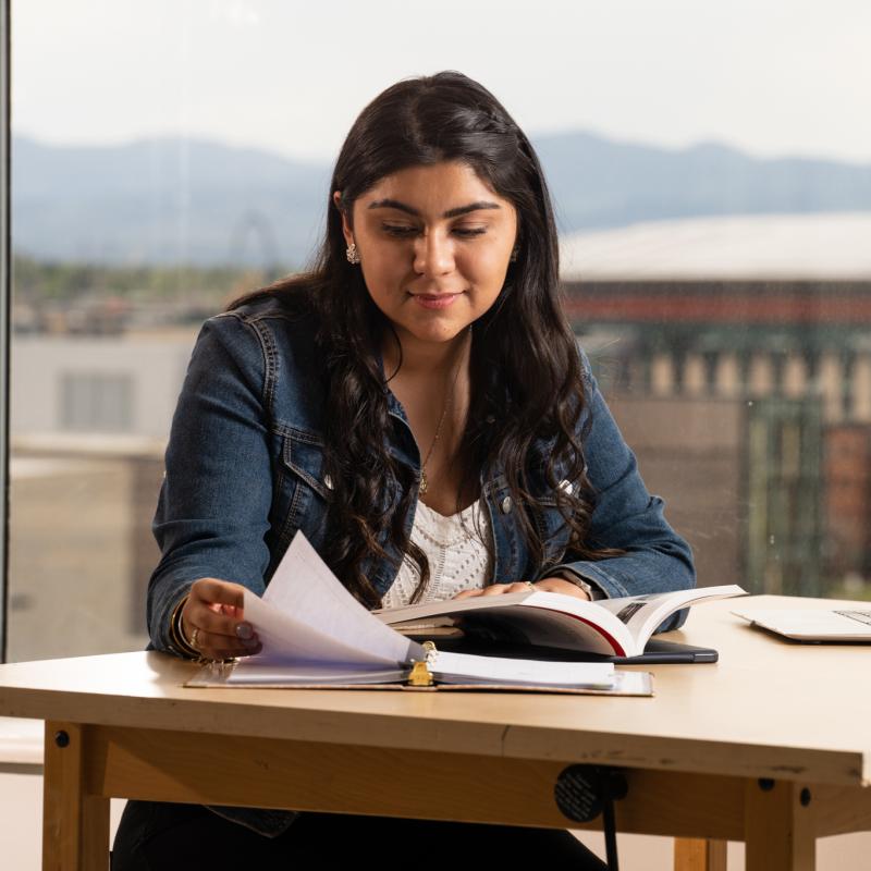 Student studying at desk