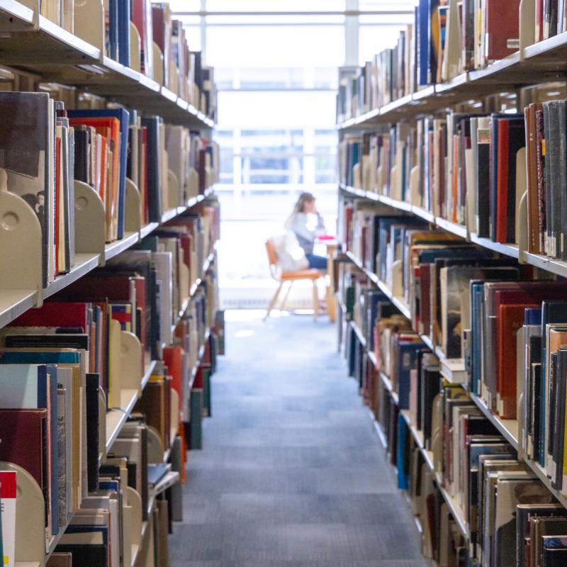 Library books on shelves