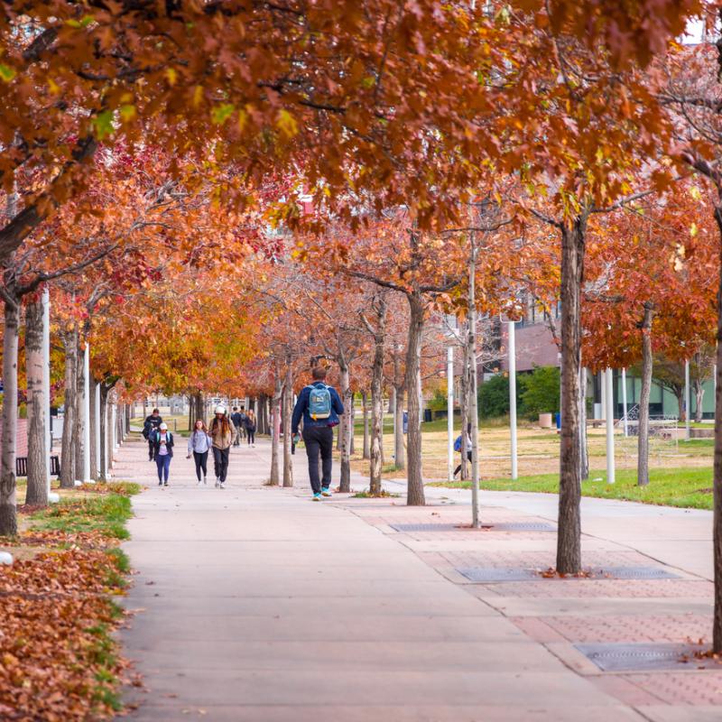 CU Denver in the fall