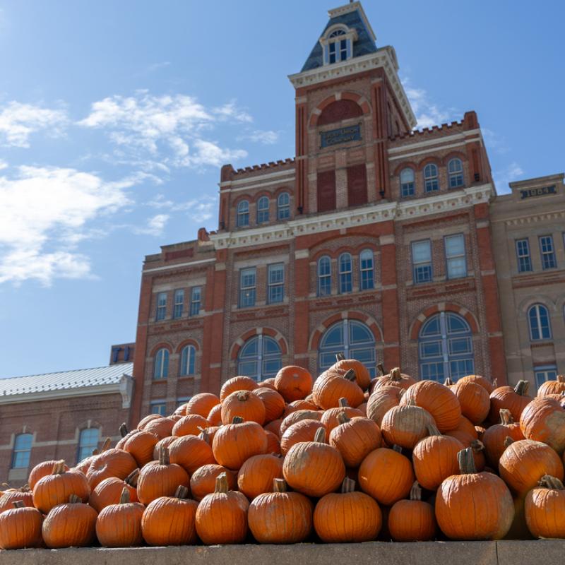 Pumpkins in front of Tivoli Student Union